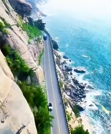  青岛的美已经next level 了。